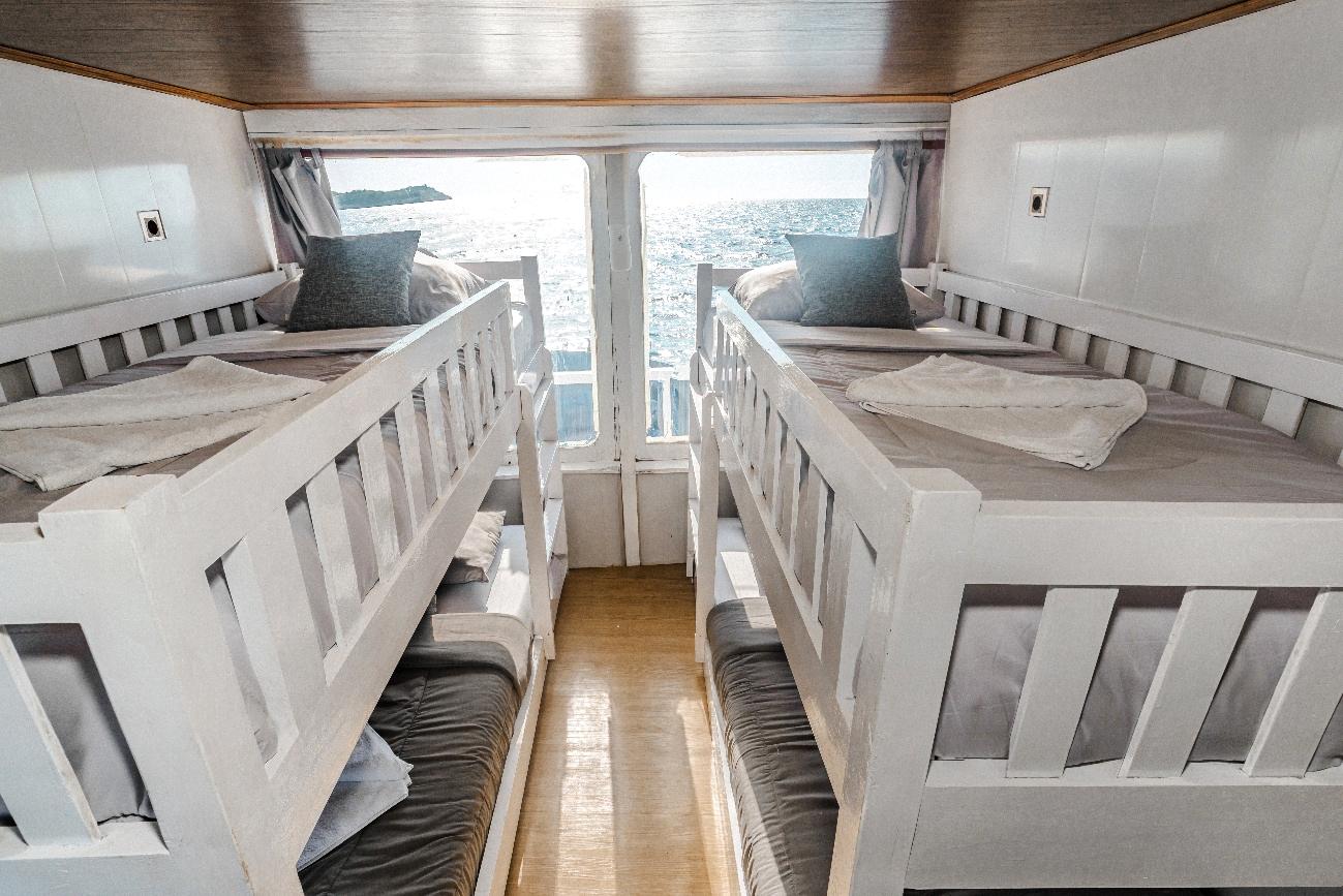 Shared Cabin