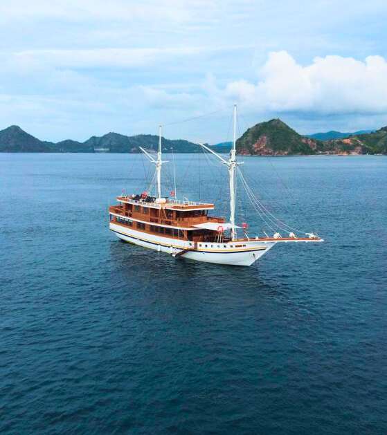 Open Trip Komodo 3D2N - LV 1