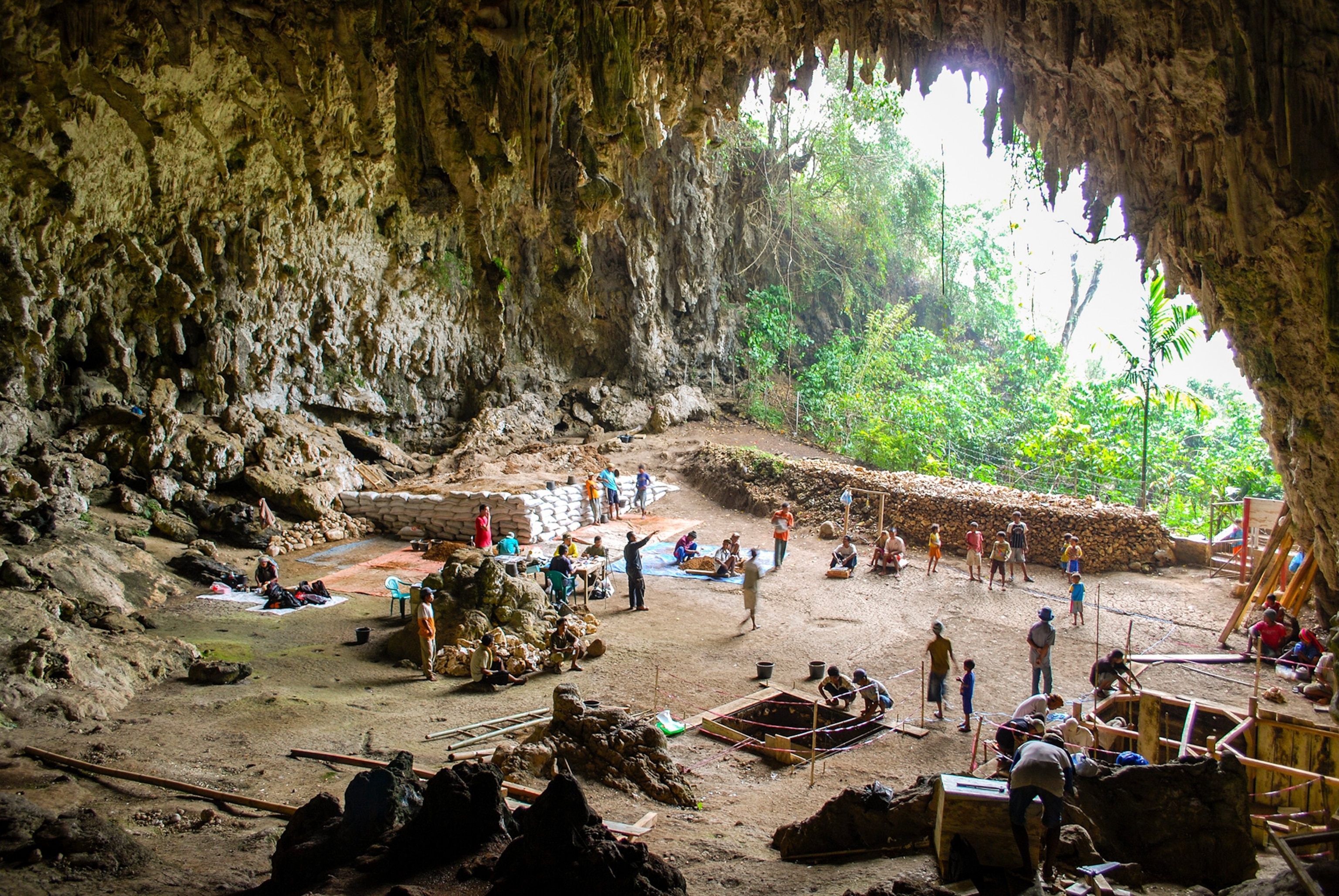 Hobbit cave tour 1 day
