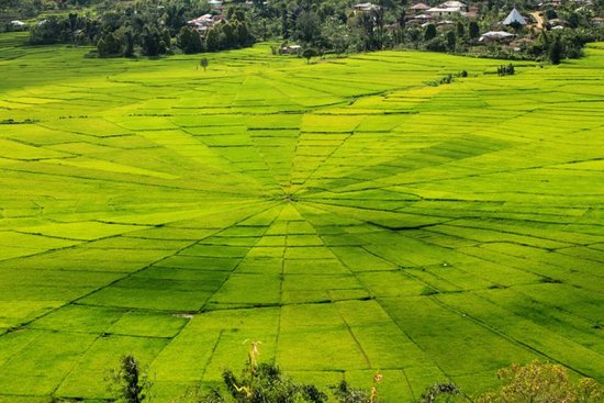 Flores Overland Tour 3 Days 2 Nights