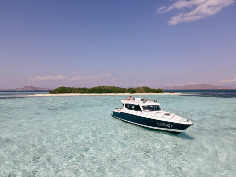 Ultimate Komodo Island Full Day Adventure  8 Iconic Destinations
