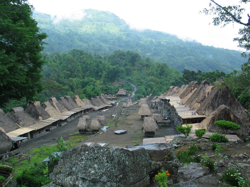 Flores Overland Tour 10 days 9 nights