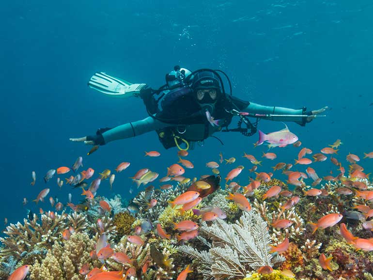 1 Day Komodo Diving Trip