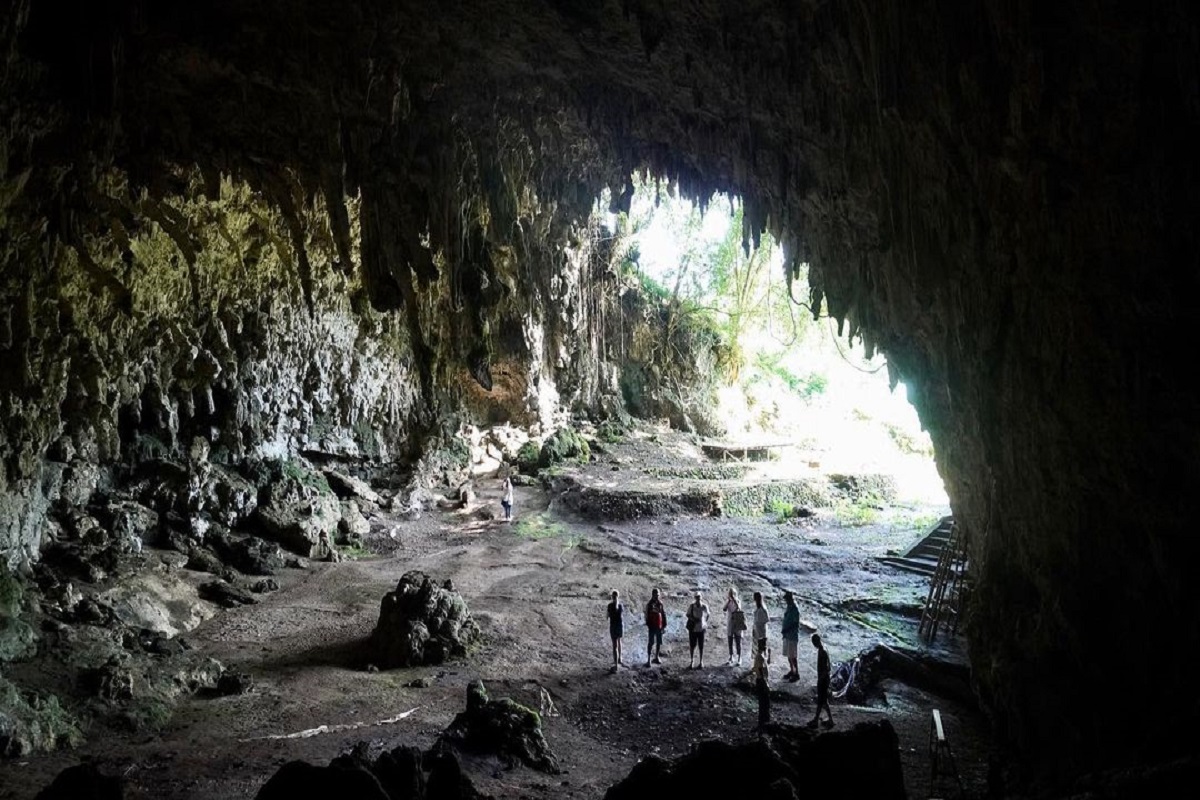 Hobbit cave tour 1 day