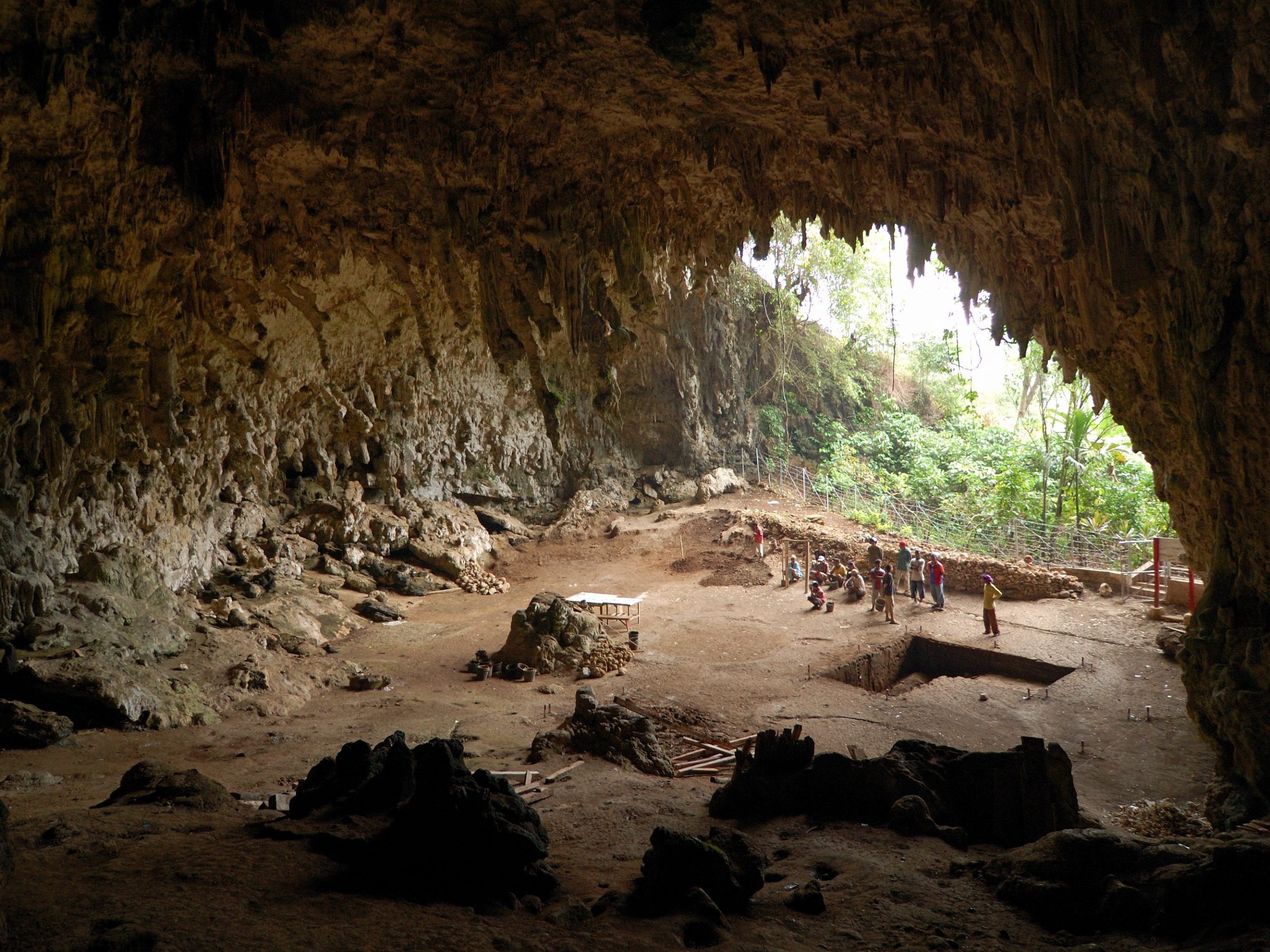 Full Day Hobbit Cave Tour Flores